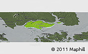 Physical Panoramic Map of Singapore, darken, semi-desaturated
