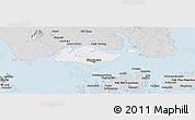 Silver Style Panoramic Map of Singapore