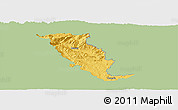Savanna Style Panoramic Map of Revuca, single color outside