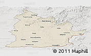 Shaded Relief Panoramic Map of Nitra, lighten, semi-desaturated