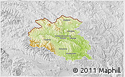 Physical 3D Map of Bardejov, lighten, desaturated