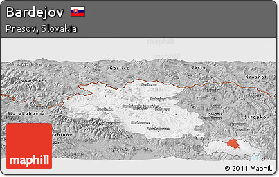 Gray Panoramic Map of Bardejov
