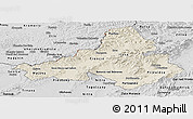 Shaded Relief Panoramic Map of Trencin, desaturated