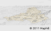 Shaded Relief Panoramic Map of Trencin, lighten, desaturated