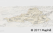 Shaded Relief Panoramic Map of Trencin, lighten