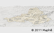 Shaded Relief Panoramic Map of Trencin, lighten, semi-desaturated