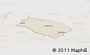 Shaded Relief Panoramic Map of Dunajska Streda, lighten