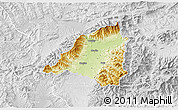 Physical 3D Map of Martin, lighten, desaturated