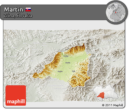 Physical 3D Map of Martin, lighten, semi-desaturated