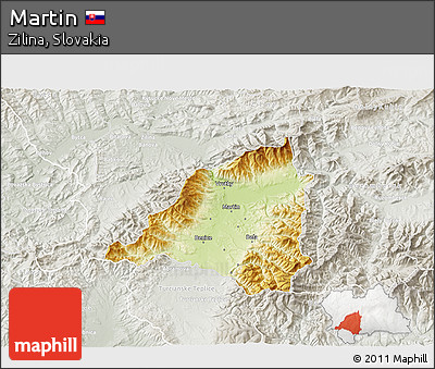 Physical 3D Map of Martin, lighten, semi-desaturated