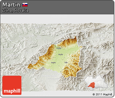 Physical 3D Map of Martin, lighten, semi-desaturated