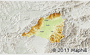 Physical 3D Map of Martin, lighten, semi-desaturated