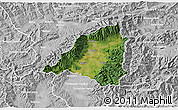 Satellite 3D Map of Martin, lighten, desaturated