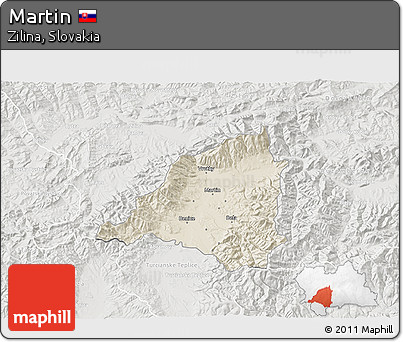 Shaded Relief 3D Map of Martin, lighten, semi-desaturated