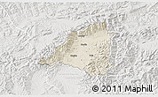 Shaded Relief 3D Map of Martin, lighten, semi-desaturated