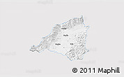 Silver Style 3D Map of Martin, single color outside