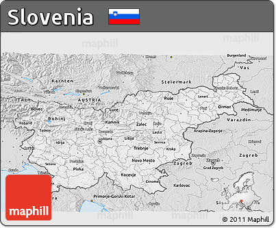 Silver Style 3D Map of Slovenia