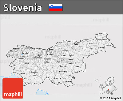 Silver Style 3D Map of Slovenia, single color outside