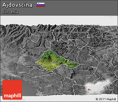 Satellite 3D Map of Ajdovscina, desaturated