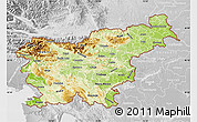 Physical Map of Slovenia, lighten, desaturated
