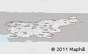 Gray Panoramic Map of Slovenia, single color outside