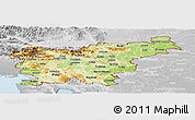Physical Panoramic Map of Slovenia, lighten, desaturated, land only