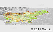 Physical Panoramic Map of Slovenia, lighten, desaturated