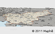 Shaded Relief Panoramic Map of Slovenia, darken, semi-desaturated, land only