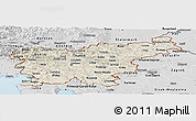 Shaded Relief Panoramic Map of Slovenia, desaturated, land only