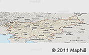 Shaded Relief Panoramic Map of Slovenia, semi-desaturated, land only