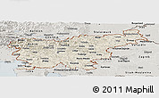 Shaded Relief Panoramic Map of Slovenia, semi-desaturated