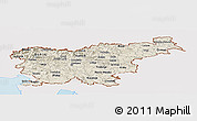 Shaded Relief Panoramic Map of Slovenia, single color outside