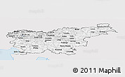 Silver Style Panoramic Map of Slovenia, single color outside