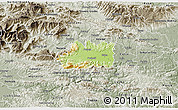 Physical 3D Map of Zalec, semi-desaturated