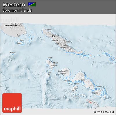 Silver Style 3D Map of Western