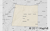 Shaded Relief Map of Qansax Dheere, desaturated