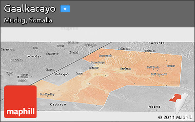 Satellite Panoramic Map of Gaalkacayo, desaturated