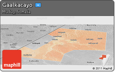 Satellite Panoramic Map of Gaalkacayo, desaturated