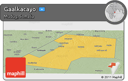 Savanna Style Panoramic Map of Gaalkacayo