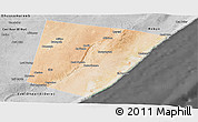 Satellite Panoramic Map of Xarardheere (Harardere), desaturated