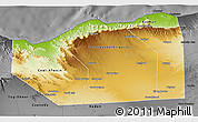 Physical 3D Map of Sanaag, darken, desaturated