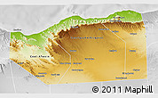 Physical 3D Map of Sanaag, lighten, desaturated