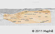 Satellite Panoramic Map of Sanaag, lighten, desaturated