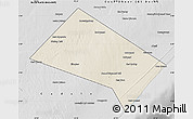 Shaded Relief Map of Aadan, desaturated