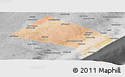 Satellite Panoramic Map of Aadan, desaturated