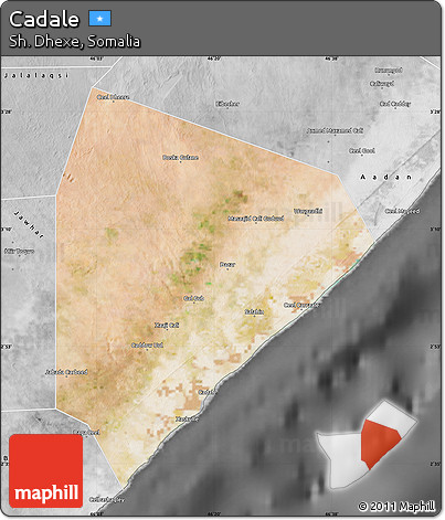 Satellite Map of Cadale, desaturated