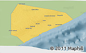 Savanna Style Panoramic Map of Cadale, single color outside