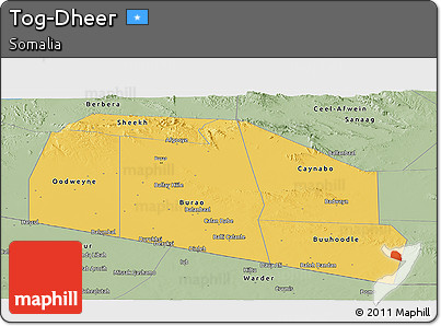 Savanna Style Panoramic Map of Tog-Dheer