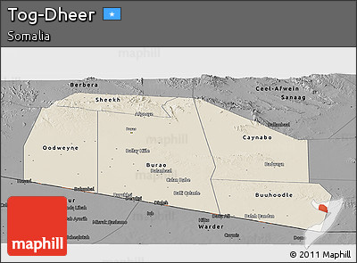 Shaded Relief Panoramic Map of Tog-Dheer, darken, desaturated