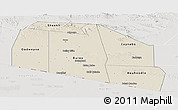 Shaded Relief Panoramic Map of Tog-Dheer, lighten, semi-desaturated